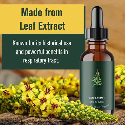 Respiratory Relief within weeks (Organic Mullein Leaf)