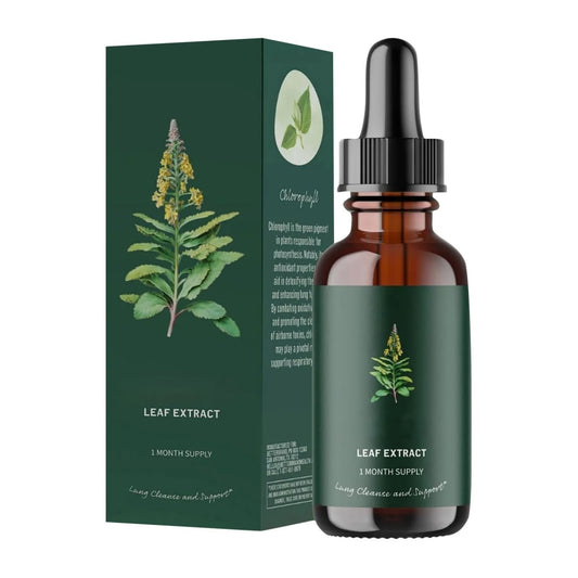 Respiratory Relief within weeks (Organic Mullein Leaf)