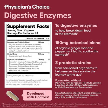 Everyday Gut Support Digestive Formula
