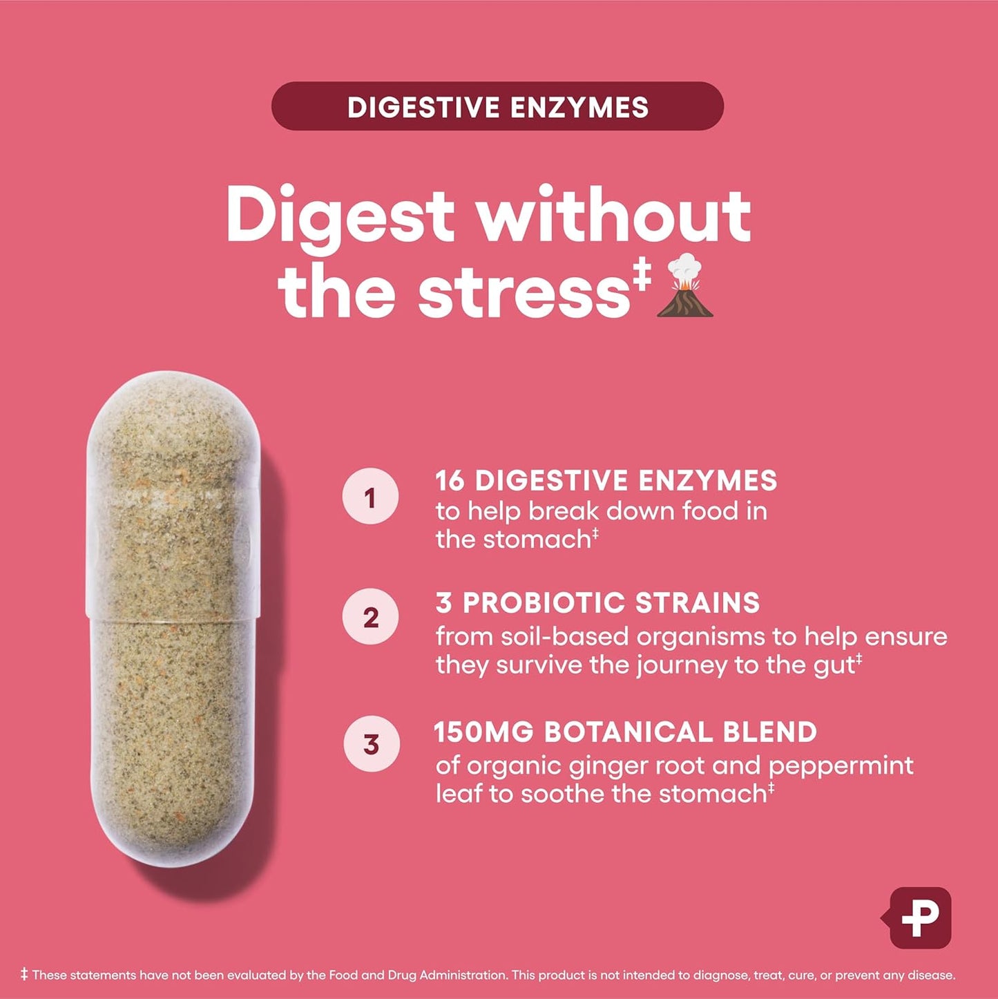 Everyday Gut Support Digestive Formula
